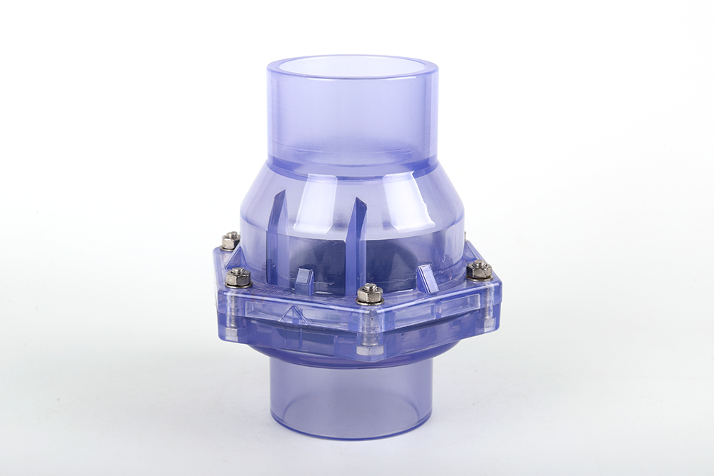 张北透明翻板式止回阀